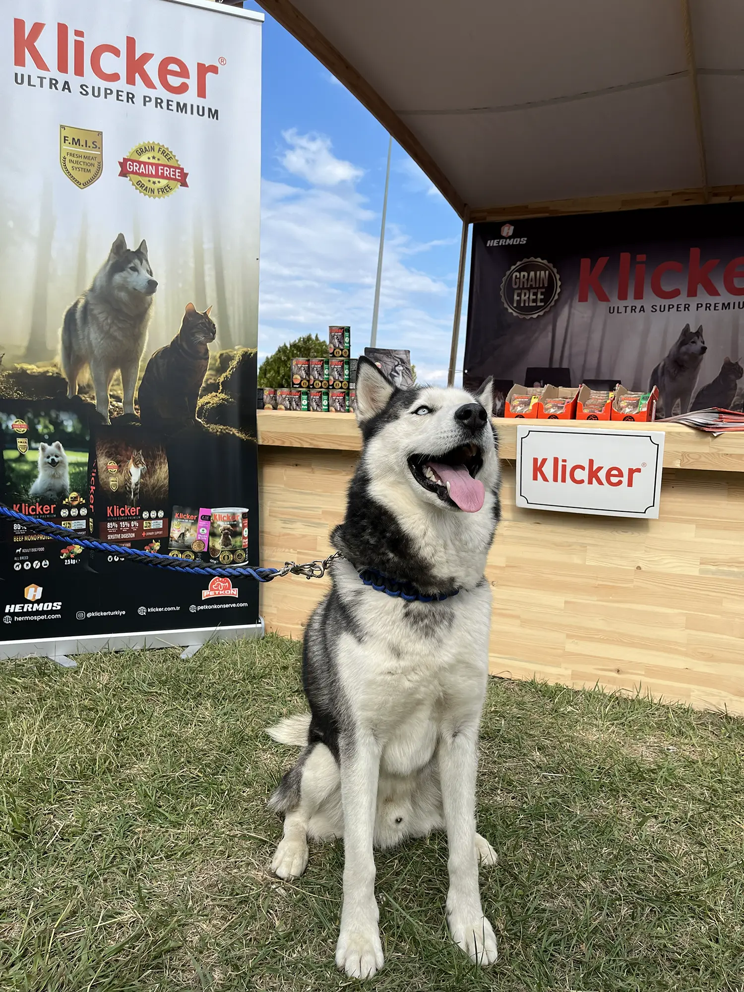 Samsun Pet Fest 2