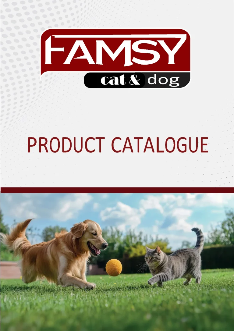 Famsy kataloğu kapağı