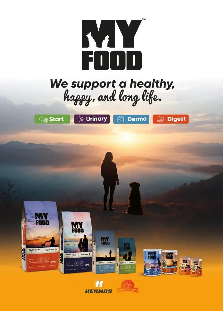 MyFood kataloğu kapağı