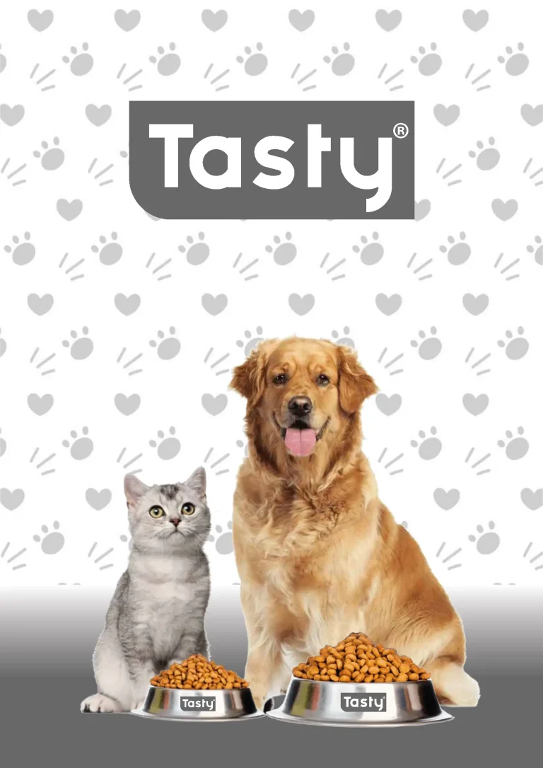Tasty kataloğu kapağı